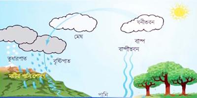 জীবনের জন্য পানি অধ্যায়ের ৯টি বহুনির্বাচনি প্রশ্ন ও উত্তর, ১ম পর্ব, পঞ্চম শ্রেণির বিজ্ঞান